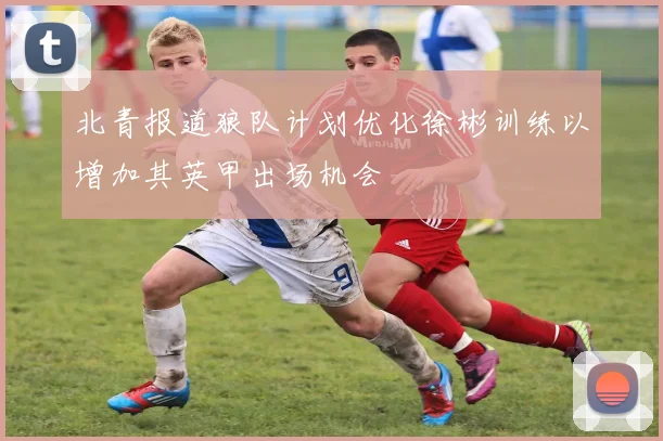 北青报道狼队计划优化徐彬训练以增加其英甲出场机会