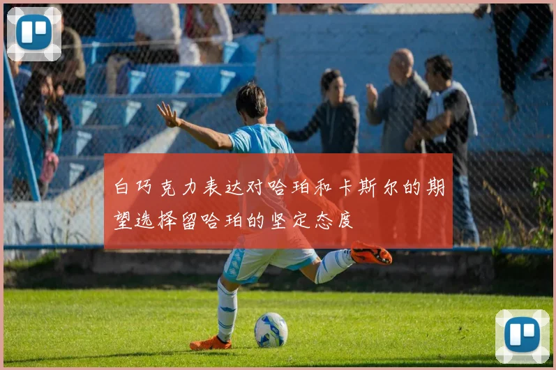 白巧克力表达对哈珀和卡斯尔的期望选择留哈珀的坚定态度